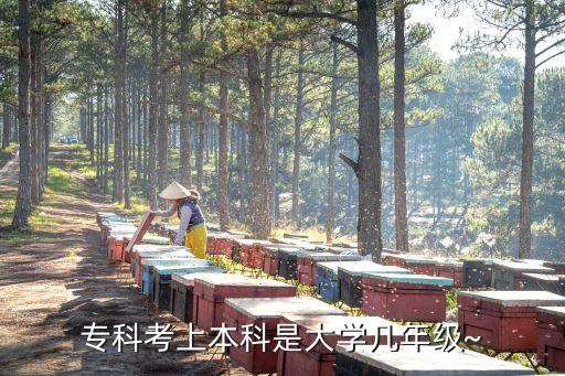 ?？瓶忌媳究剖谴髮W(xué)幾年級~