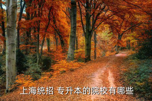  上海統招 專升本的院校有哪些