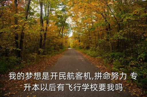 我的夢想是開民航客機,拼命努力 專升本以后有飛行學校要我嗎