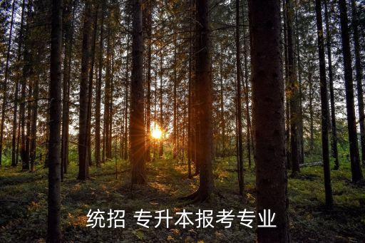 統(tǒng)招 專升本報考專業(yè)