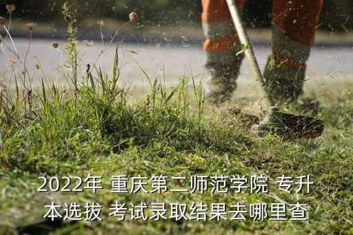 2022年 重慶第二師范學院 專升本選拔 考試錄取結(jié)果去哪里查