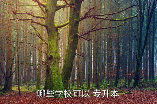 哪些學?？梢?專升本