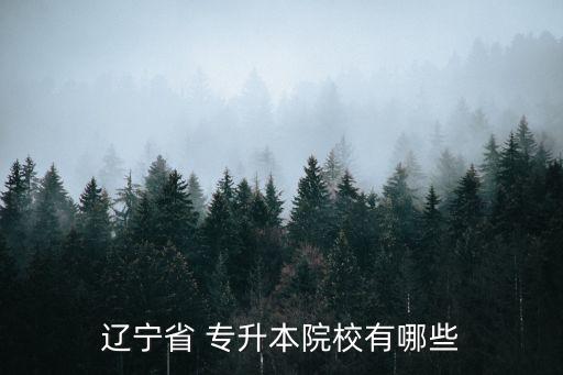 遼寧省 專升本院校有哪些