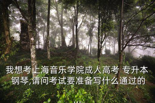 我想考上海音樂學院成人高考 專升本 鋼琴,請問考試要準備寫什么通過的...