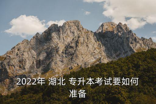 湖北統(tǒng)招專(zhuān)升本試卷及答案