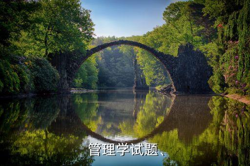  管理學(xué)試題、