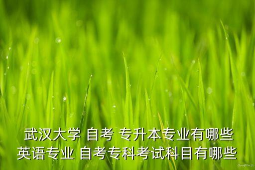  武漢大學(xué) 自考 專升本專業(yè)有哪些英語專業(yè) 自考?？瓶荚嚳颇坑心男? class=