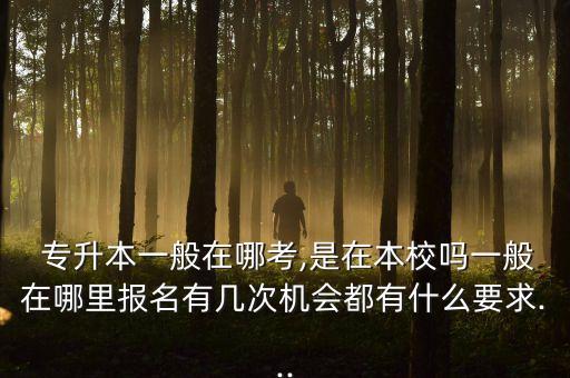  專升本一般在哪考,是在本校嗎一般在哪里報名有幾次機會都有什么要求...