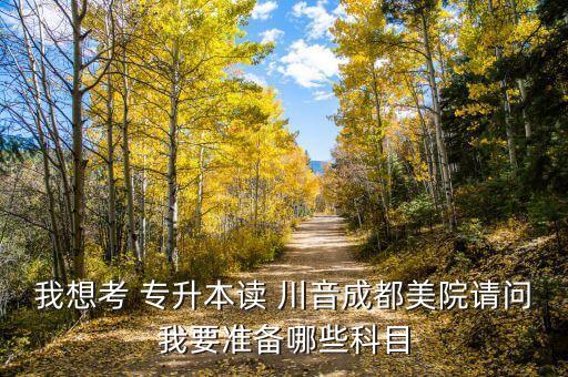 我想考 專升本讀 川音成都美院請問我要準備哪些科目