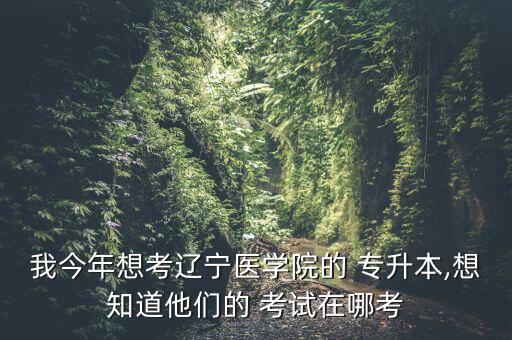 我今年想考遼寧醫(yī)學(xué)院的 專升本,想知道他們的 考試在哪考