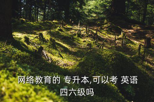  網(wǎng)絡(luò)教育的 專升本,可以考 英語四六級(jí)嗎