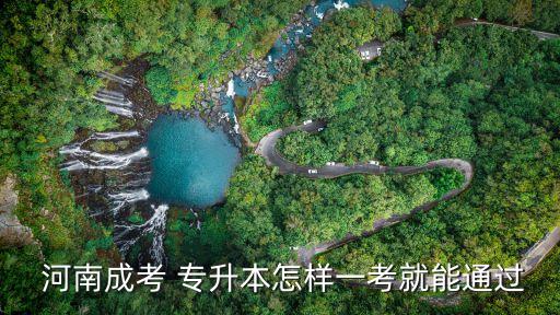 2017河南康復(fù)專(zhuān)升本