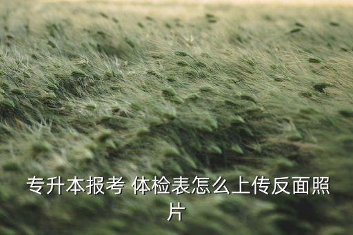  專升本報考 體檢表怎么上傳反面照片