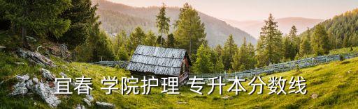  宜春 學院護理 專升本分數(shù)線