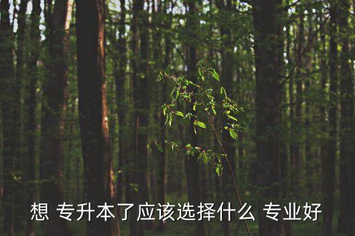專升本可以學(xué)什么專業(yè)學(xué)校,河南專升本計(jì)算機(jī)專業(yè)學(xué)校有哪些