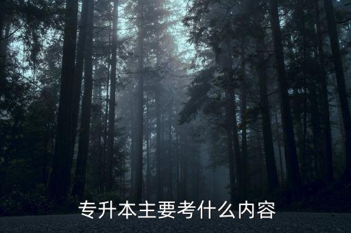青海省專(zhuān)升本民法考試試題,成人專(zhuān)升本民法考試試題