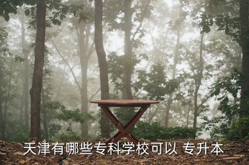 天津有哪些?？茖W(xué)?？梢?專升本