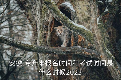  安徽 專升本報(bào)名時(shí)間和考試時(shí)間是什么時(shí)候2023