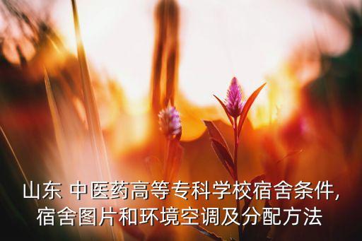山東 中醫(yī)藥高等專科學校宿舍條件,宿舍圖片和環(huán)境空調(diào)及分配方法