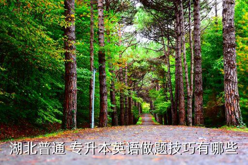 湖北普通 專升本英語(yǔ)做題技巧有哪些