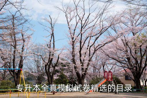  專升本全真模擬試卷精選的目錄
