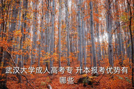 武漢大學成人高考專 升本報考優(yōu)勢有哪些