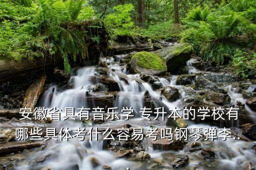  安徽省具有音樂學 專升本的學校有哪些具體考什么容易考嗎鋼琴彈李...
