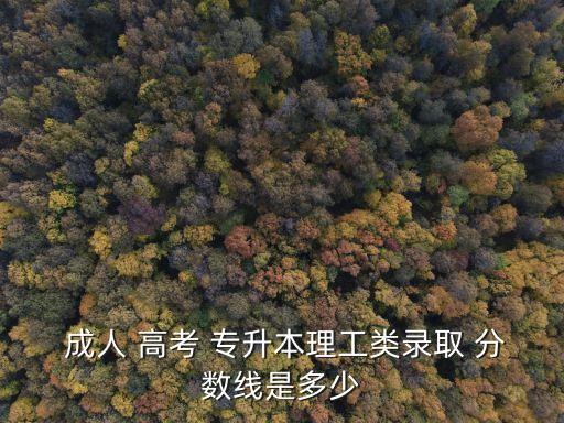 成人高考專(zhuān)升本查分?jǐn)?shù)線
