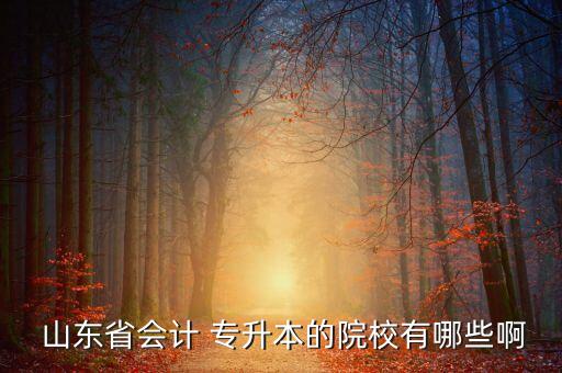  山東省會計 專升本的院校有哪些啊