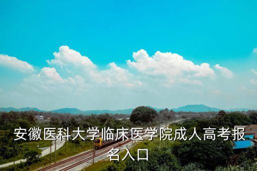  安徽醫(yī)科大學臨床醫(yī)學院成人高考報名入口