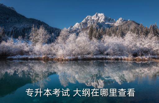  專(zhuān)升本考試 大綱在哪里查看