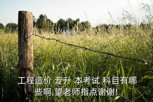  工程造價 專升 本考試 科目有哪些啊,望老師指點謝謝!