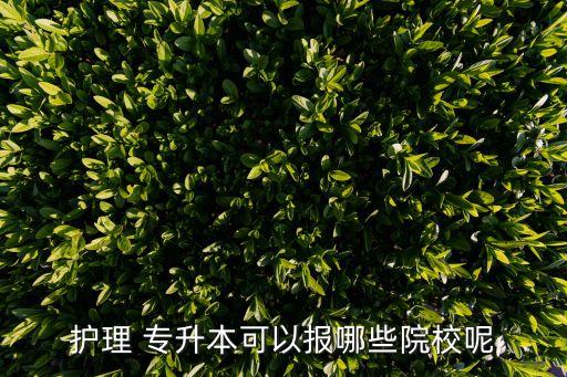 護(hù)理 專(zhuān)升本可以報(bào)哪些院校呢