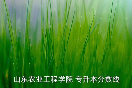  山東農(nóng)業(yè)工程學院 專升本分數(shù)線
