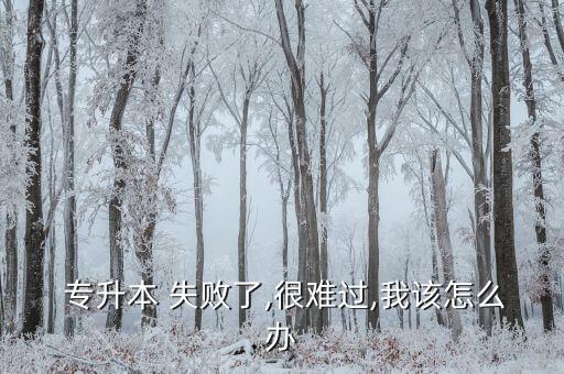  專升本 失敗了,很難過,我該怎么辦