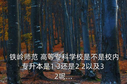 鐵嶺師高等專(zhuān)利學(xué)校空乘專(zhuān)升本嗎