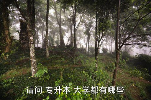 請(qǐng)問 專升本 大學(xué)都有哪些