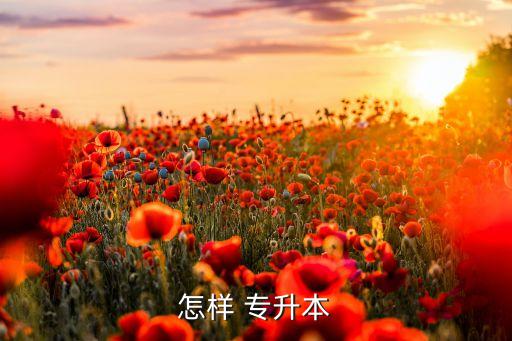 大學(xué)畢業(yè)還能專升本嗎,已經(jīng)畢業(yè)了怎么專升本
