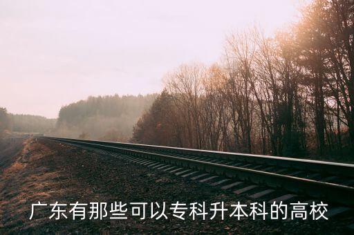  廣東有那些可以?？粕究频母咝? class=