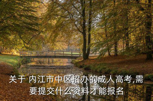 關(guān)于 內(nèi)江市中區(qū)招辦的成人高考,需要提交什么資料才能報名