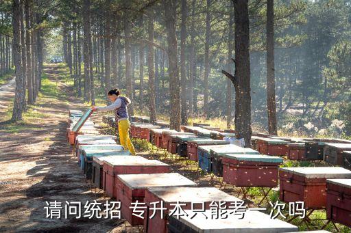 請問統招 專升本只能考一次嗎