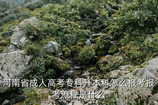 河南省成人高考?？粕究圃趺磮罂紙罂剂鞒淌鞘裁? class=