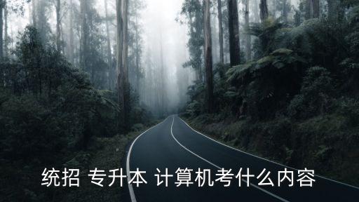 統(tǒng)招 專升本 計算機考什么內(nèi)容