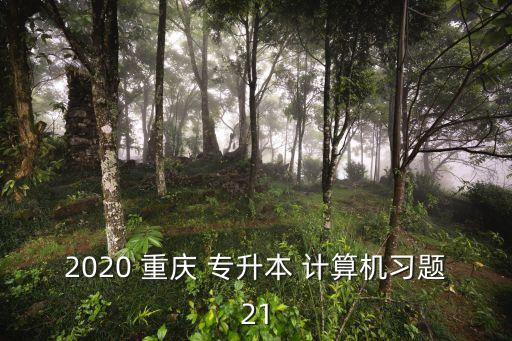 2020 重慶 專升本 計算機習題21