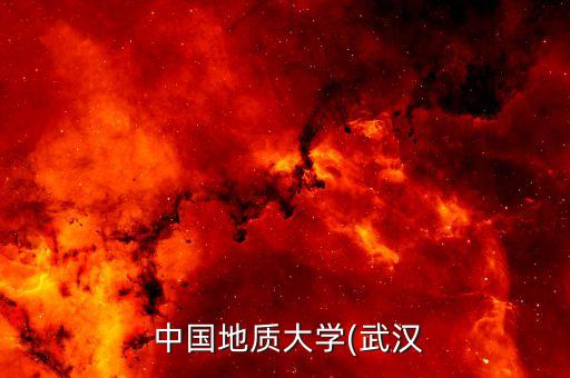  中國地質(zhì)大學(xué)(武漢