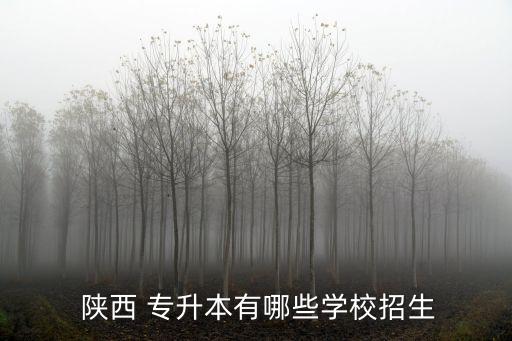  陜西 專升本有哪些學(xué)校招生