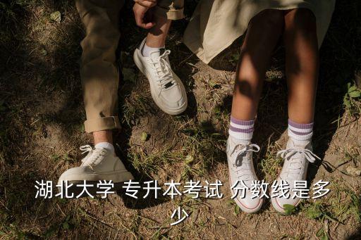  湖北大學(xué) 專升本考試 分?jǐn)?shù)線是多少