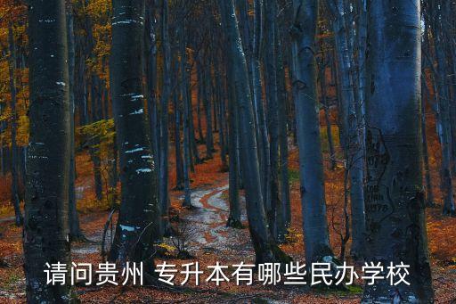 請問貴州 專升本有哪些民辦學校