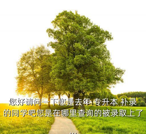 您好請(qǐng)問(wèn)一下您是去年 專升本 補(bǔ)錄的同學(xué)吧您是在哪里查詢的被錄取上了...