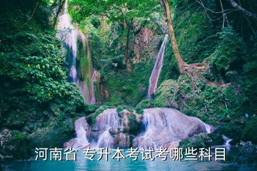 河南專(zhuān)升本上午考什么,河南音樂(lè)表演專(zhuān)升本考什么